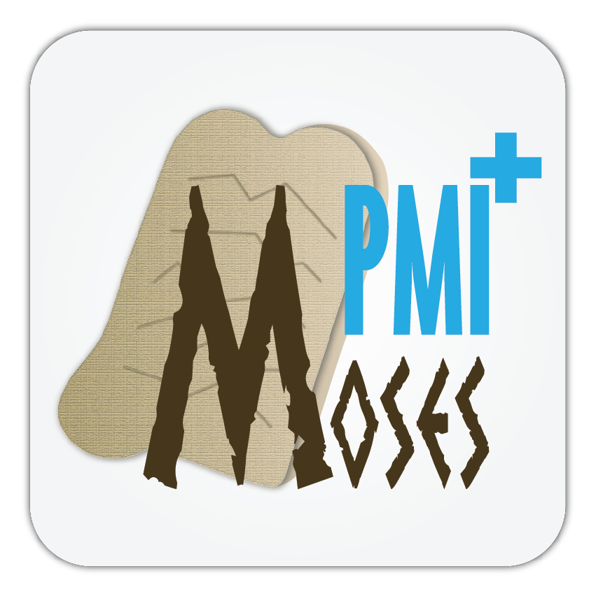 Moses PMI Software procedure standardizzate; valutazione del rischio PMI; sicurezza del lavoro